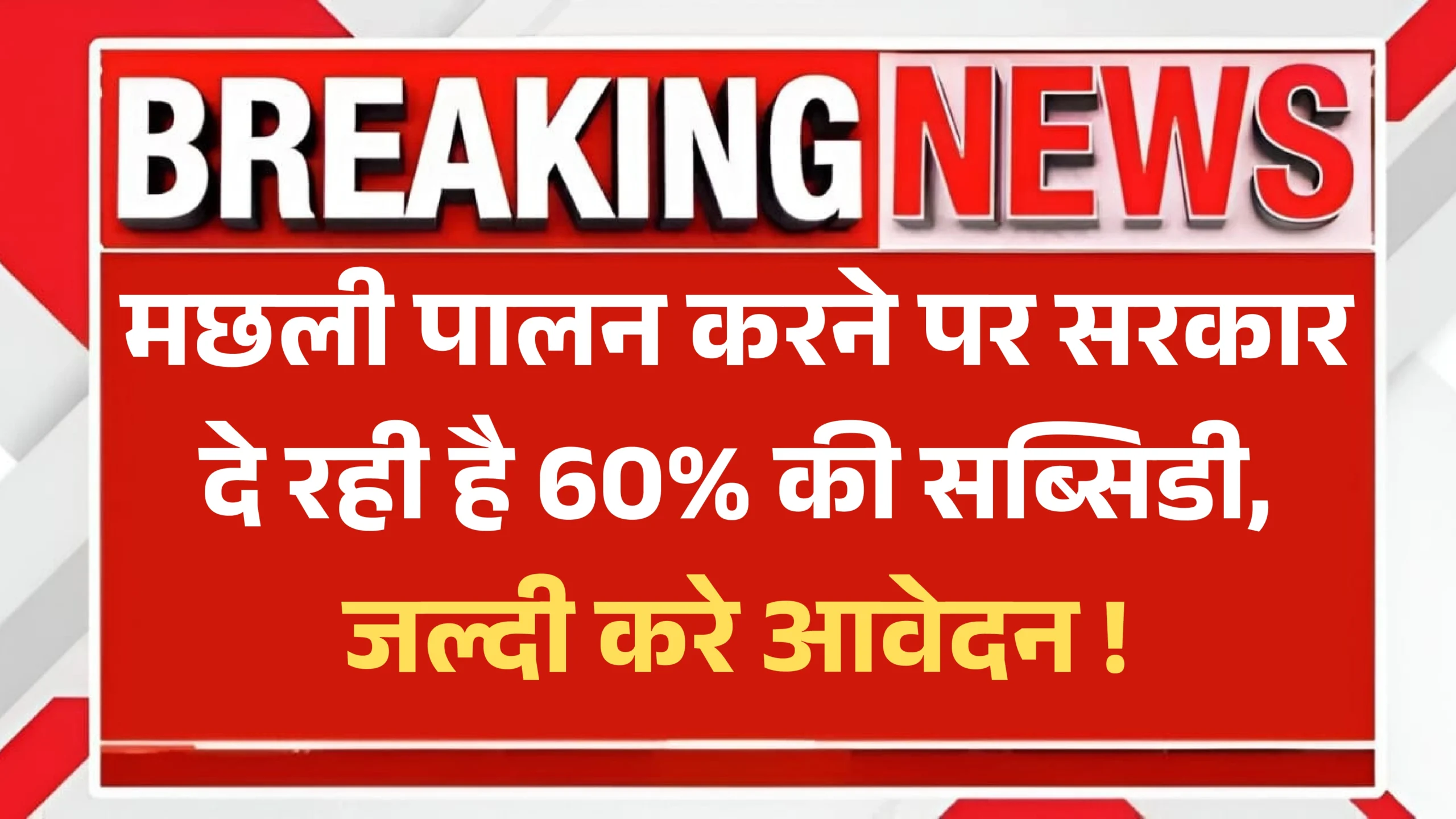 Fish Farming Loan Yojana 2025